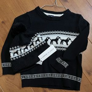 Janie and Jack sweater and beanie